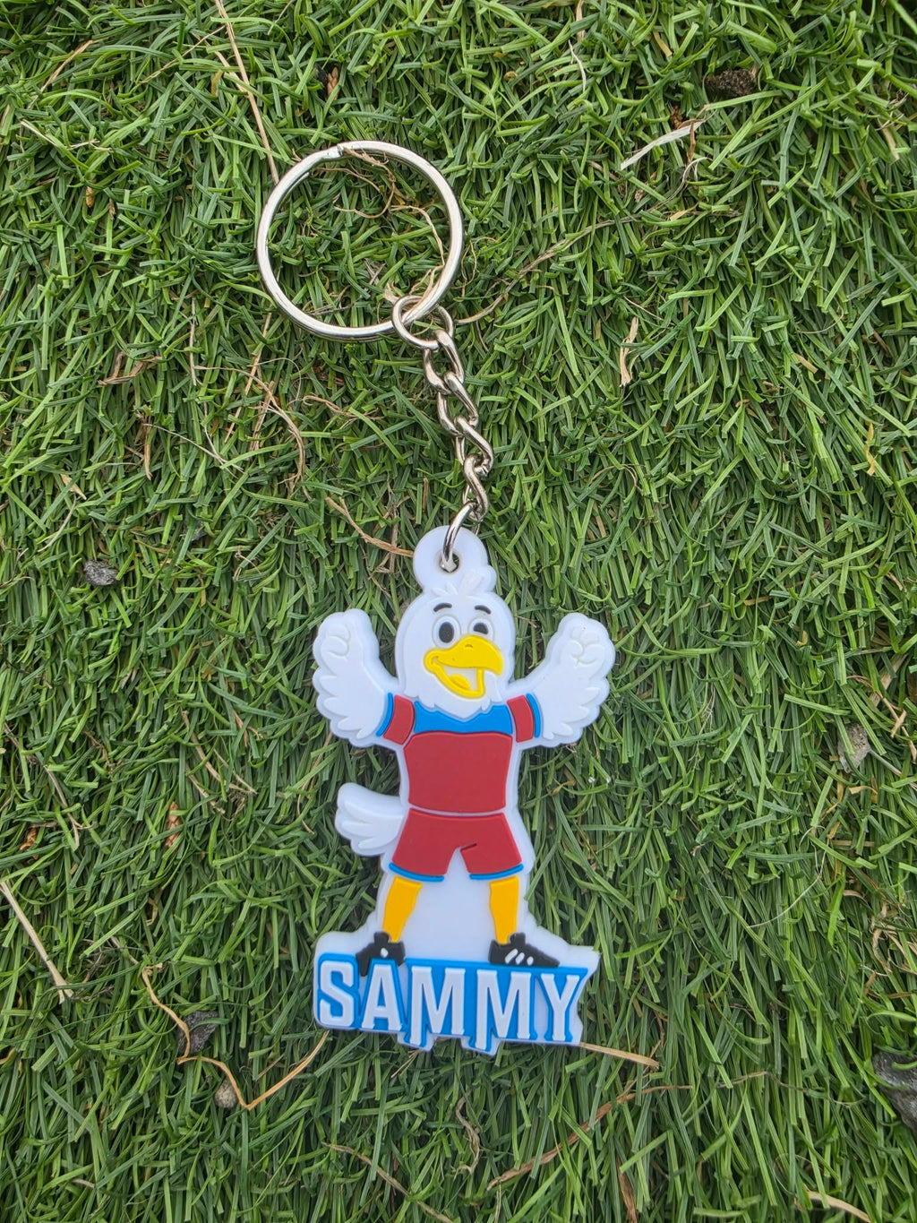 PVC Keyrings
