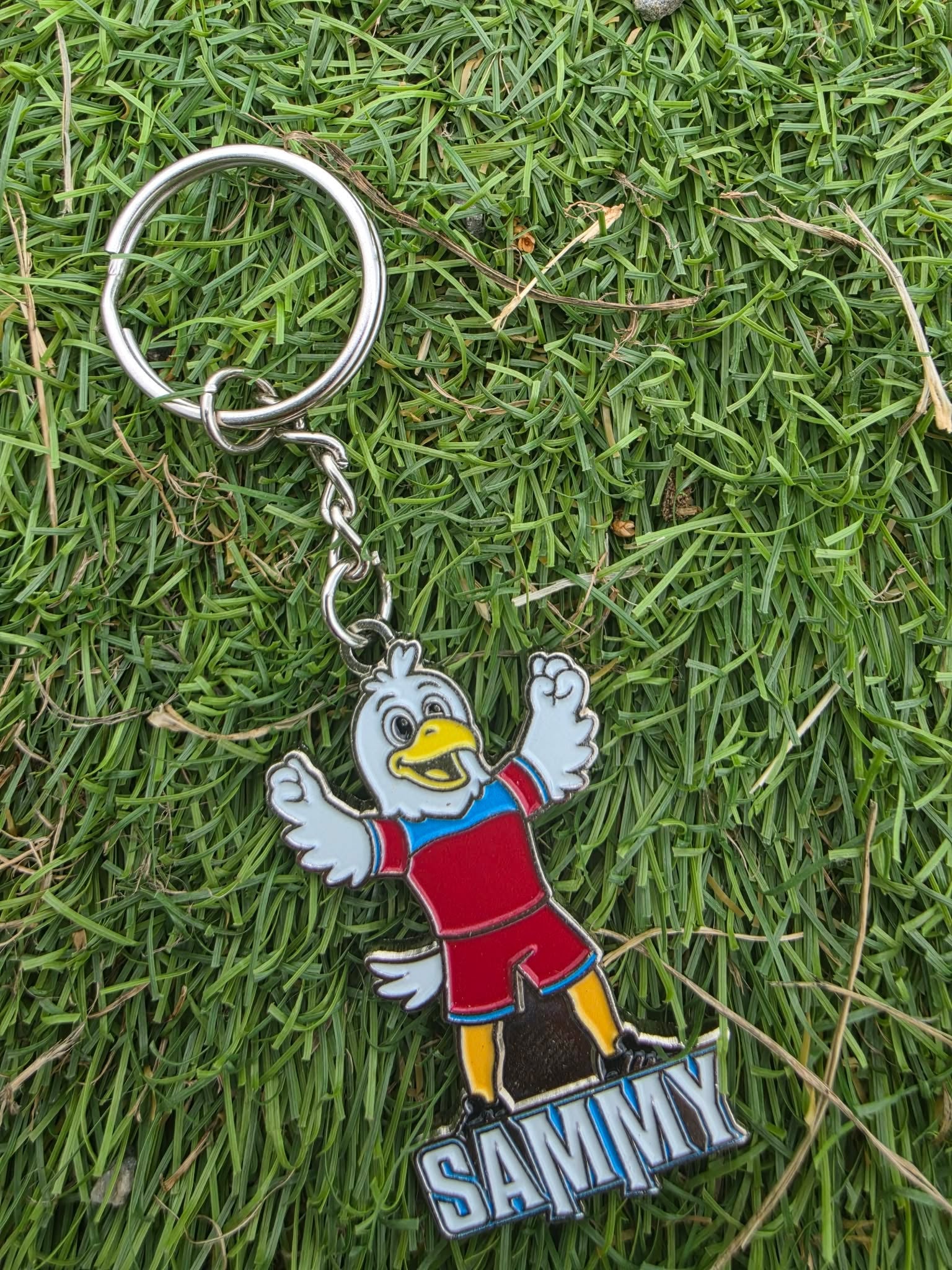 Enamel Keyrings