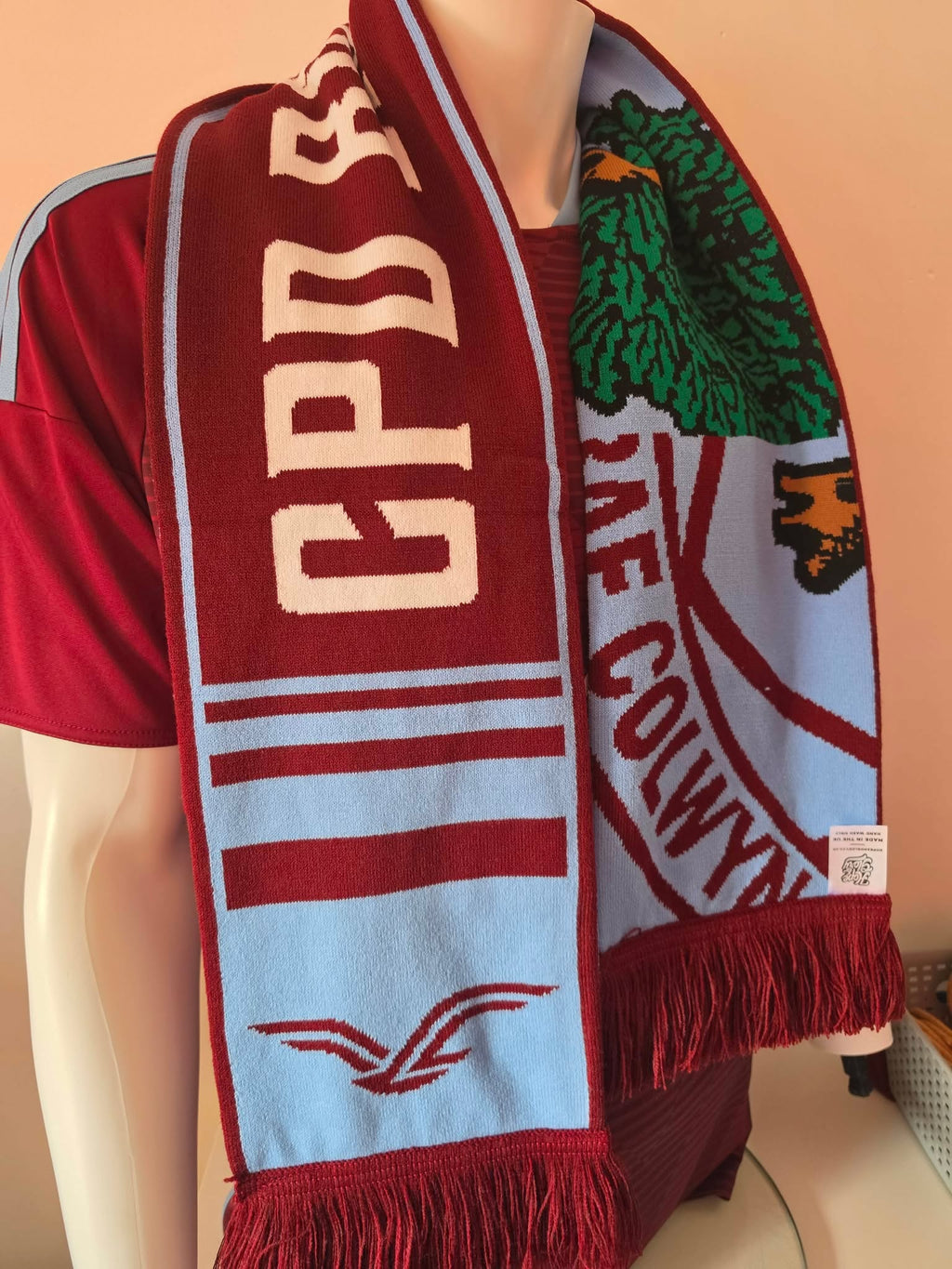 CPD Bae Colwyn Scarf